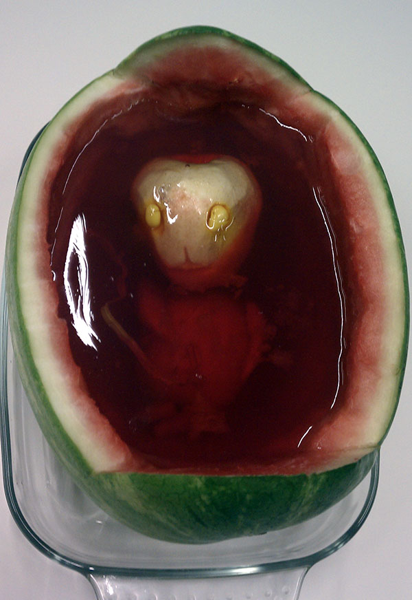 Alien Baby Watermelon