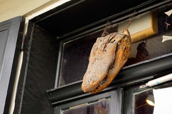 Alligator Above Door